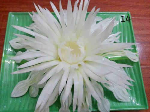 Hướng dẫn tỉa quả đu đủ thành cúc đại đóa đẹp mê hồn