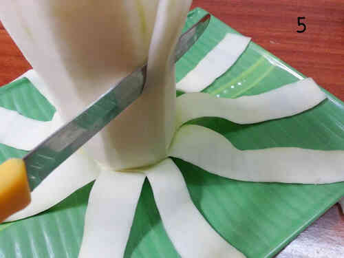 Hướng dẫn tỉa quả đu đủ thành cúc đại đóa đẹp mê hồn