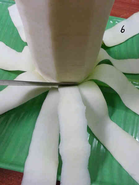 Hướng dẫn tỉa quả đu đủ thành cúc đại đóa đẹp mê hồn