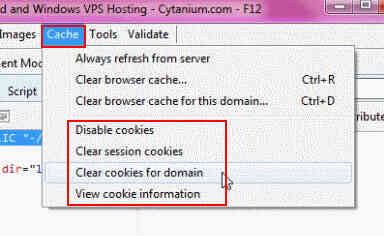 Tùy biến Internet Explorer 9 trên Windows