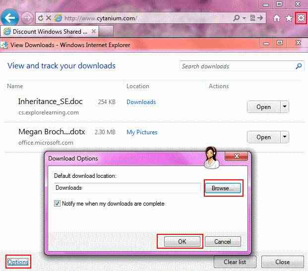 Tùy biến Internet Explorer 9 trên Windows