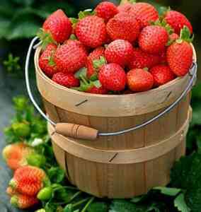 Thực phẩm giúp chống nắng