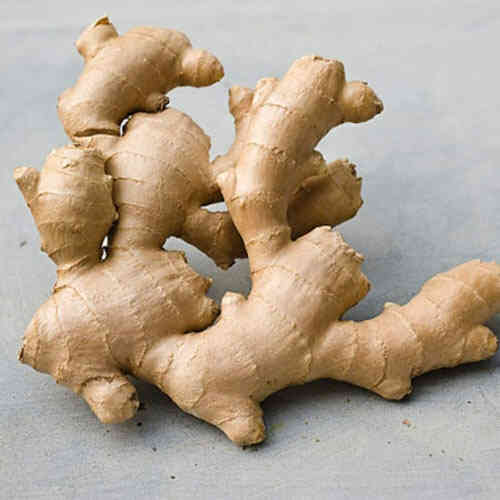 Cách bảo quản gừng