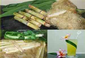 Cách chế biến nước sâm