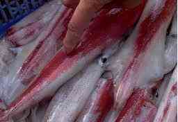 Cách chọn mực tuơi và sơ chế