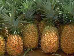 Cách chọn thơm (dứa) ngon