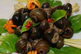 Cách chọn và chế biến ốc