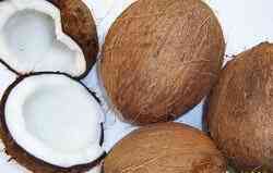 Cách làm nước cốt dừa tại nhà