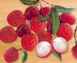 Cách làm rau câu trái vải