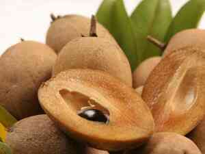 Cách làm sinh tố Sapôchê