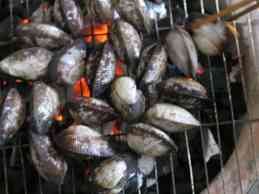 Cách làm sò huyết nướng