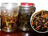 Cách ngâm rượu thuốc