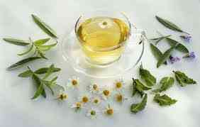 Cách pha chế các loại trà dược