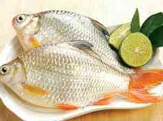 Mẹo vặt chọn cá tươi