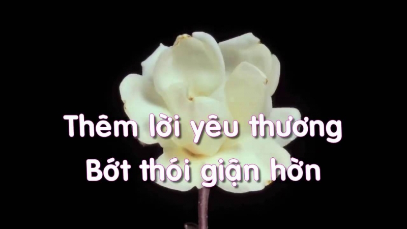 “Note” ngay những kinh nghiệm sống này lại nếu bạn ở trong môi trường ký túc xá