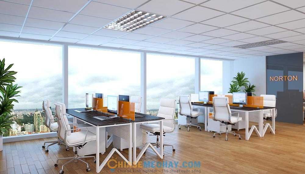 Những vách kính trong suốt tạo ra không gian làm việc hài hòa, thư thái